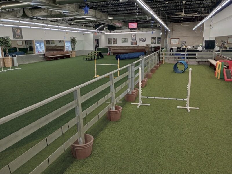 Woofs Indoor Dog Park